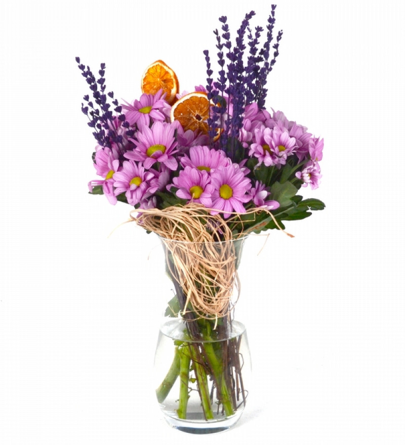 Pembe Taze Papatyalar