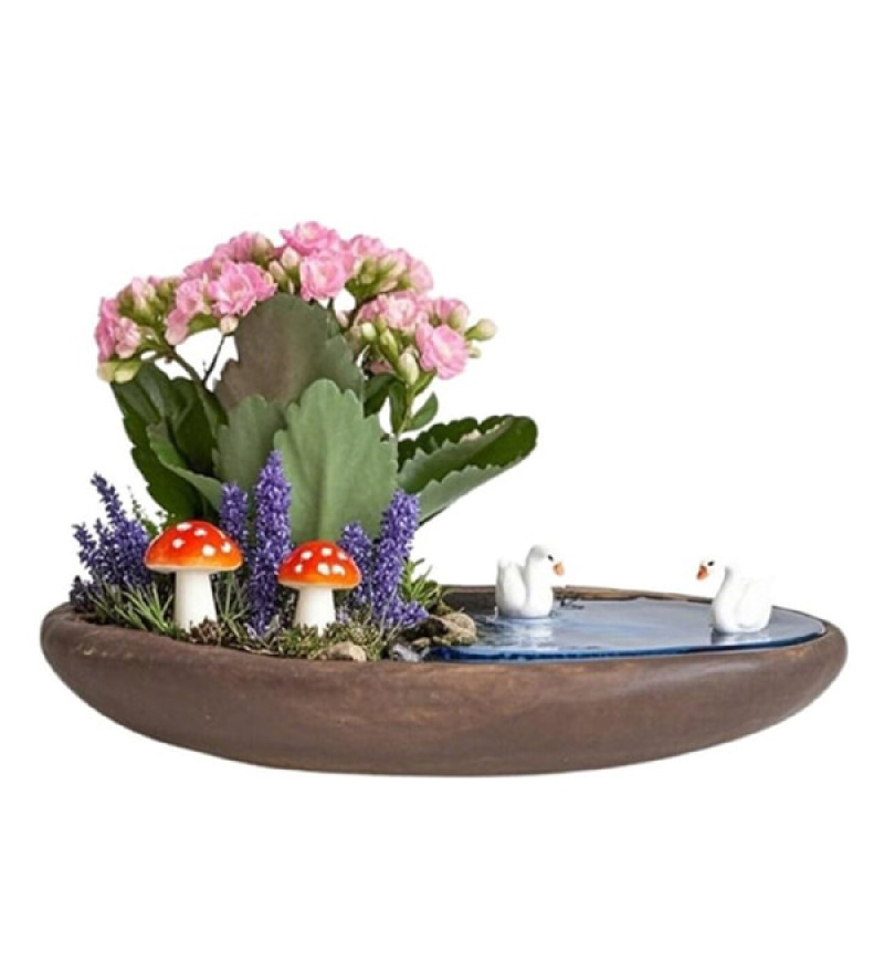 Kayık Saksıda Pembe Kalanşo Teraryum